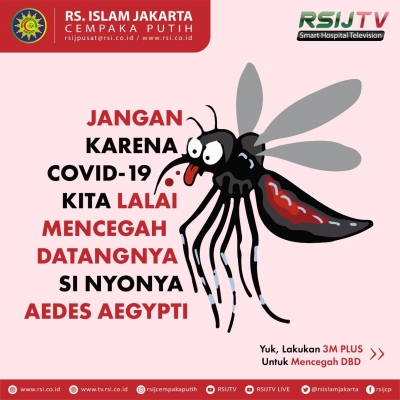 Jangan Terlena Dengan Covid-19, Melupakan akan Hadirnya Si Nyonya Aedes Aegypti